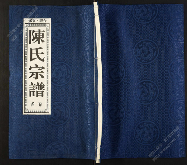 合肥东乡陈氏宗谱【卷首、卷一至卷八、卷十】 合肥东乡陈氏宗谱【卷首、卷一至卷八、卷十】